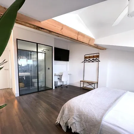 Luxury Pintoreria Atico