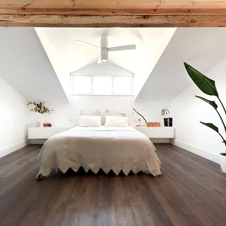 Luxury Pintoreria Atico Appartamento Vitoria-Gasteiz